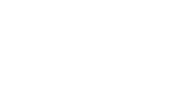 Forcepoint's Logo